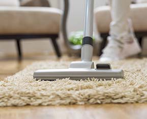 Carpet Cleaning​