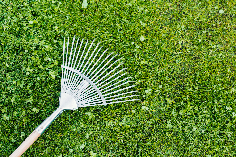 yard cleaning services in Lithgow
